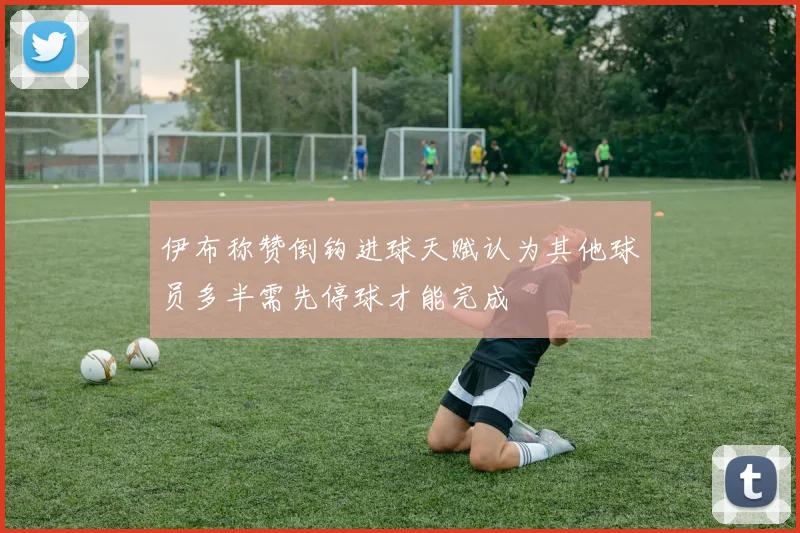 伊布称赞倒钩进球天赋认为其他球员多半需先停球才能完成