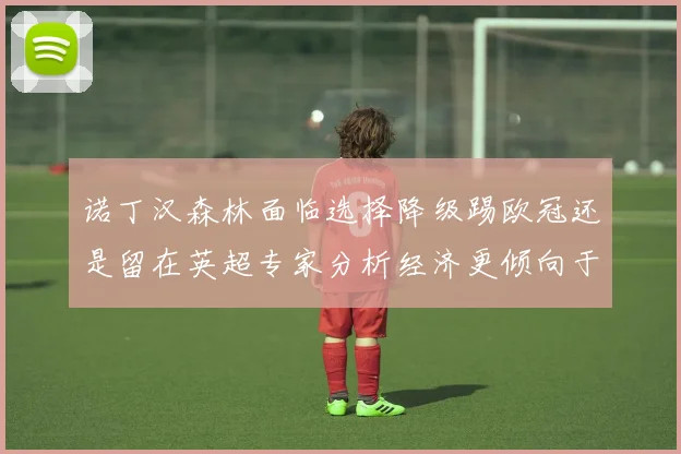 诺丁汉森林面临选择降级踢欧冠还是留在英超专家分析经济更倾向于英超